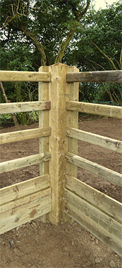 equine arena fence